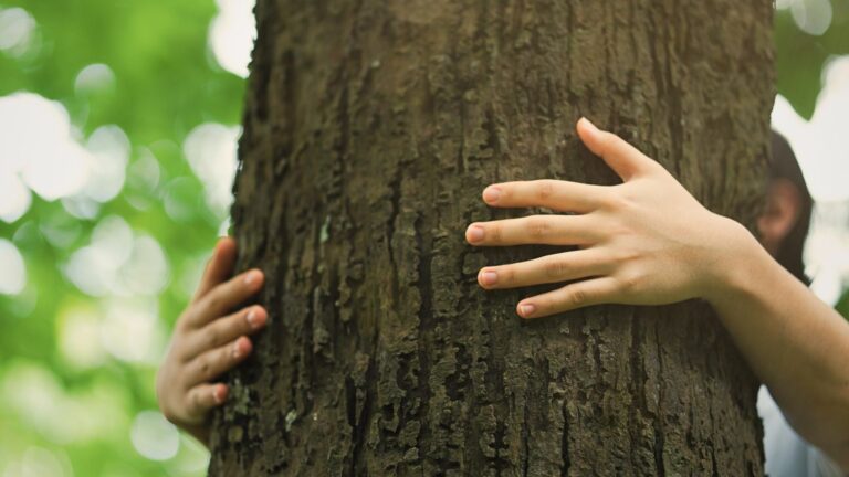 Nahaufnahme der Hände eines Kindes, die fest einen Baumstamm umarmen – Symbolbild für Kinderhypnose, Erdung und innere Stärke.