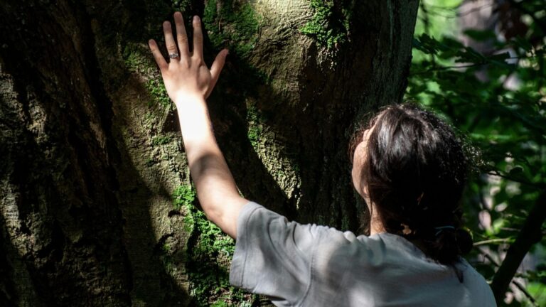 Eine Person berührt im warmen Sonnenlicht den moosbedeckten Stamm eines massiven Baumes im Wald. Das Motiv steht symbolisch für Erdung, tiefe Verbundenheit und das Finden von neuem Halt in der Psychotherapie.