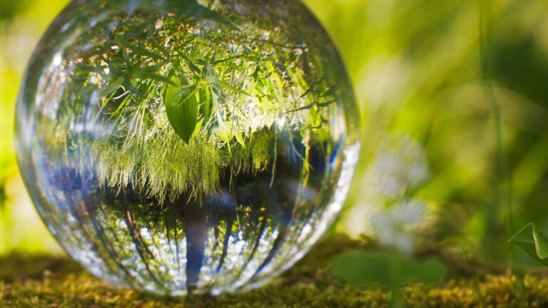 Eine klare Glaskugel liegt im weichen, grünen Moos und spiegelt einen dichten Wald wider. Das Motiv steht symbolisch für den inneren Perspektivenwechsel, tiefe Klarheit und den bewussten Blick auf die wahren Ursachen der Sucht.